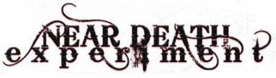 logo Near Death Experiment
